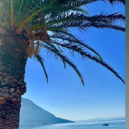 Cvita Gradac (Split-Dalmatia)
